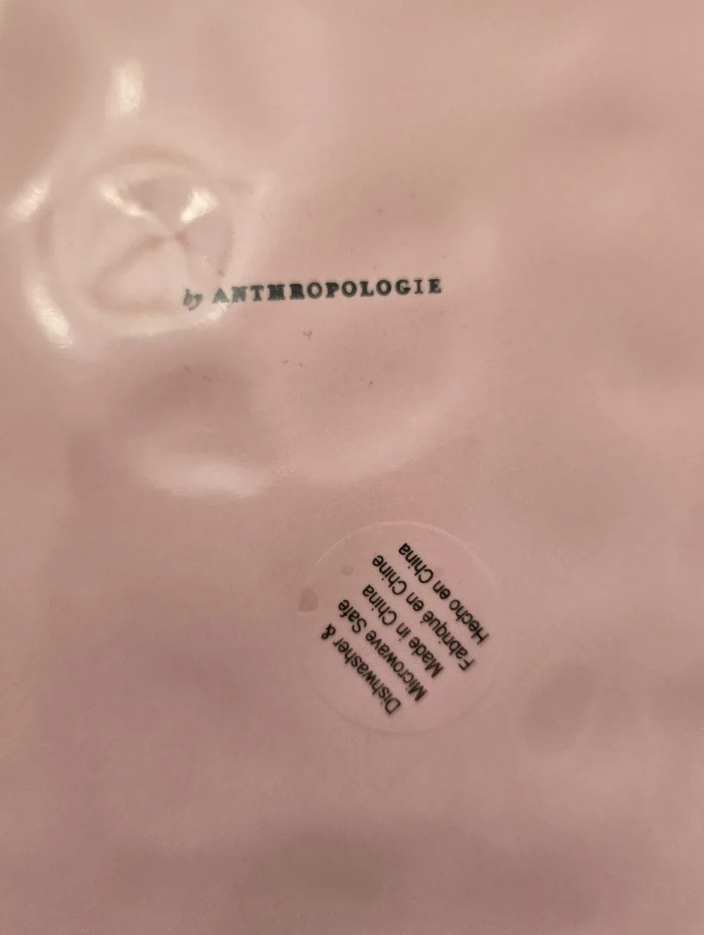 Anthropologie vida icon